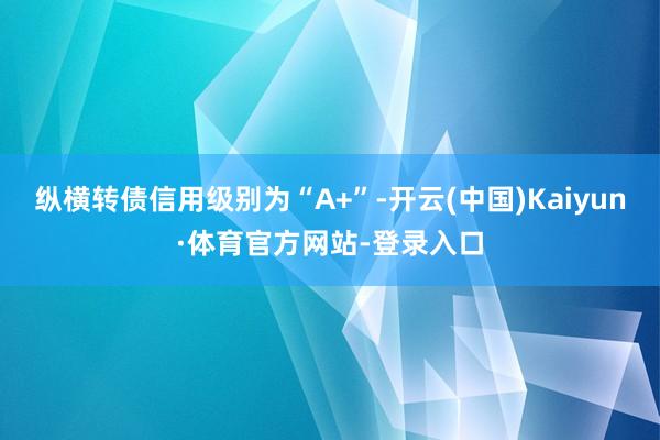 纵横转债信用级别为“A+”-开云(中国)Kaiyun·体育官方网站-登录入口