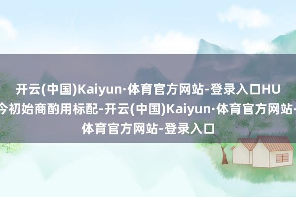 开云(中国)Kaiyun·体育官方网站-登录入口HUD要么当今初始商酌用标配-开云(中国)Kaiyun·体育官方网站-登录入口