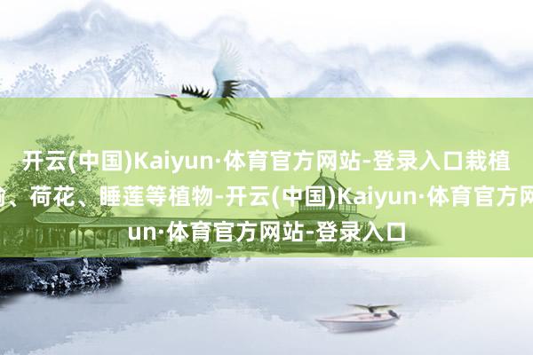 开云(中国)Kaiyun·体育官方网站-登录入口栽植柳树、大果榆、荷花、睡莲等植物-开云(中国)Kaiyun·体育官方网站-登录入口