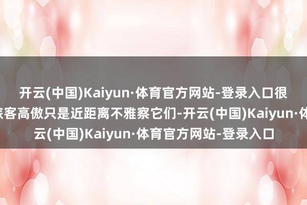 开云(中国)Kaiyun·体育官方网站-登录入口很振作看到越来越多的旅客高傲只是近距离不雅察它们-开云(中国)Kaiyun·体育官方网站-登录入口