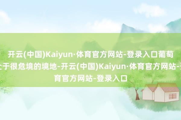 开云(中国)Kaiyun·体育官方网站-登录入口葡萄牙如实处于很危境的境地-开云(中国)Kaiyun·体育官方网站-登录入口