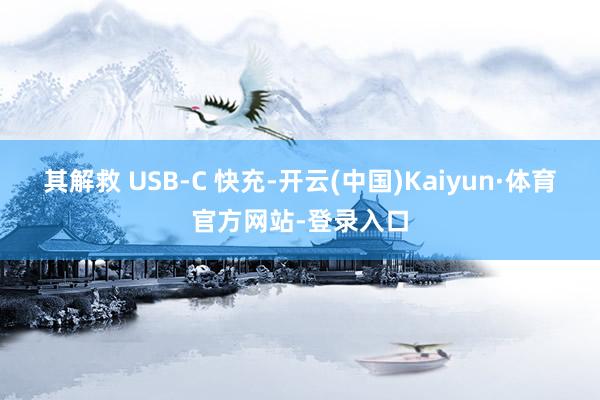 其解救 USB-C 快充-开云(中国)Kaiyun·体育官方网站-登录入口