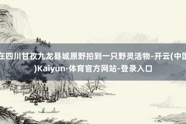 在四川甘孜九龙县城原野拍到一只野灵活物-开云(中国)Kaiyun·体育官方网站-登录入口