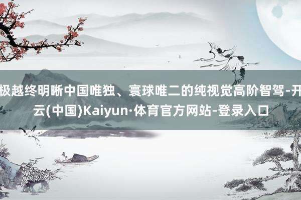 极越终明晰中国唯独、寰球唯二的纯视觉高阶智驾-开云(中国)Kaiyun·体育官方网站-登录入口