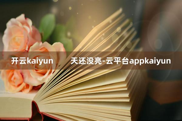 开云kaiyun        天还没亮-云平台appkaiyun