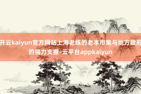 开云kaiyun官方网站上海老练的老本市集与地方政府的强力支握-云平台appkaiyun