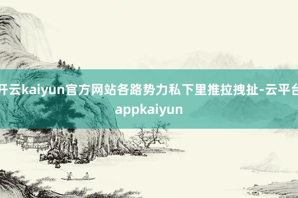 开云kaiyun官方网站各路势力私下里推拉拽扯-云平台appkaiyun