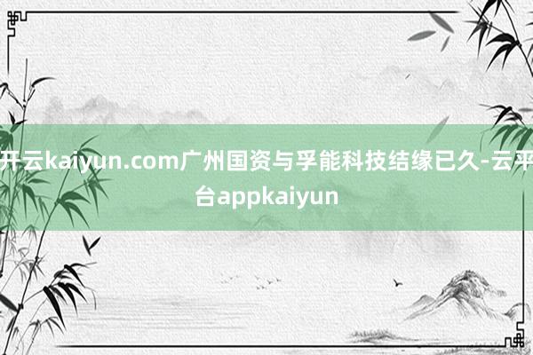 开云kaiyun.com广州国资与孚能科技结缘已久-云平台appkaiyun