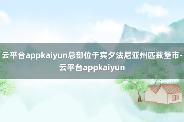 云平台appkaiyun总部位于宾夕法尼亚州匹兹堡市-云平台appkaiyun