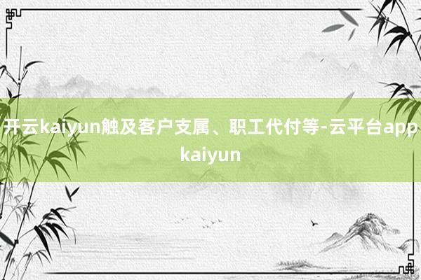 开云kaiyun触及客户支属、职工代付等-云平台appkaiyun