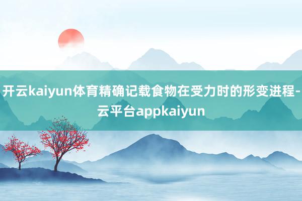 开云kaiyun体育精确记载食物在受力时的形变进程-云平台appkaiyun